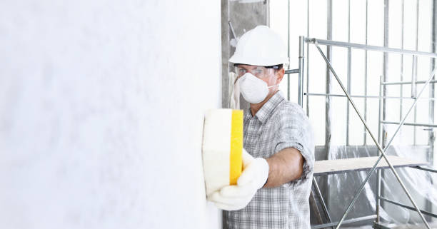 Professional Mold Removal & Remediation in Tower Lakes, IL